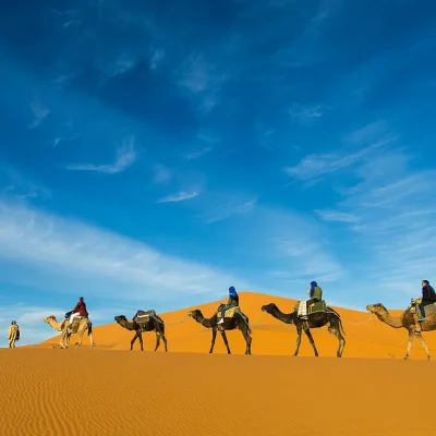 13821020-Camel-caravan-tourists-in-the-Erg-Chebbi-sand-dunes