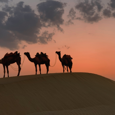 Desert