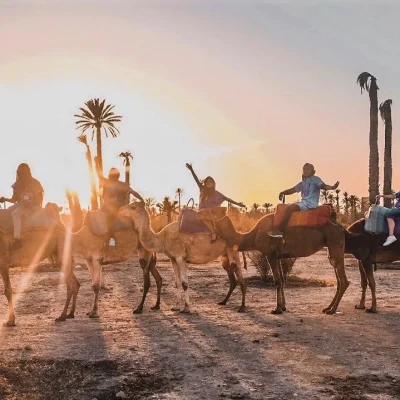 MARRAKECH HALF DAY CAMEL RIDE IN PALM GROVE