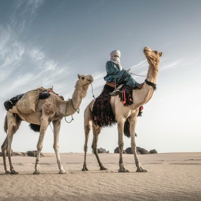 Merzouga camel ride