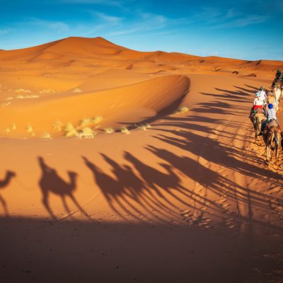 Camels,Trekking,Guided,Safari,Tours,In,Merzouga,Morocco,Sahara,Desert