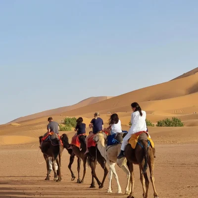 morocco merzouga